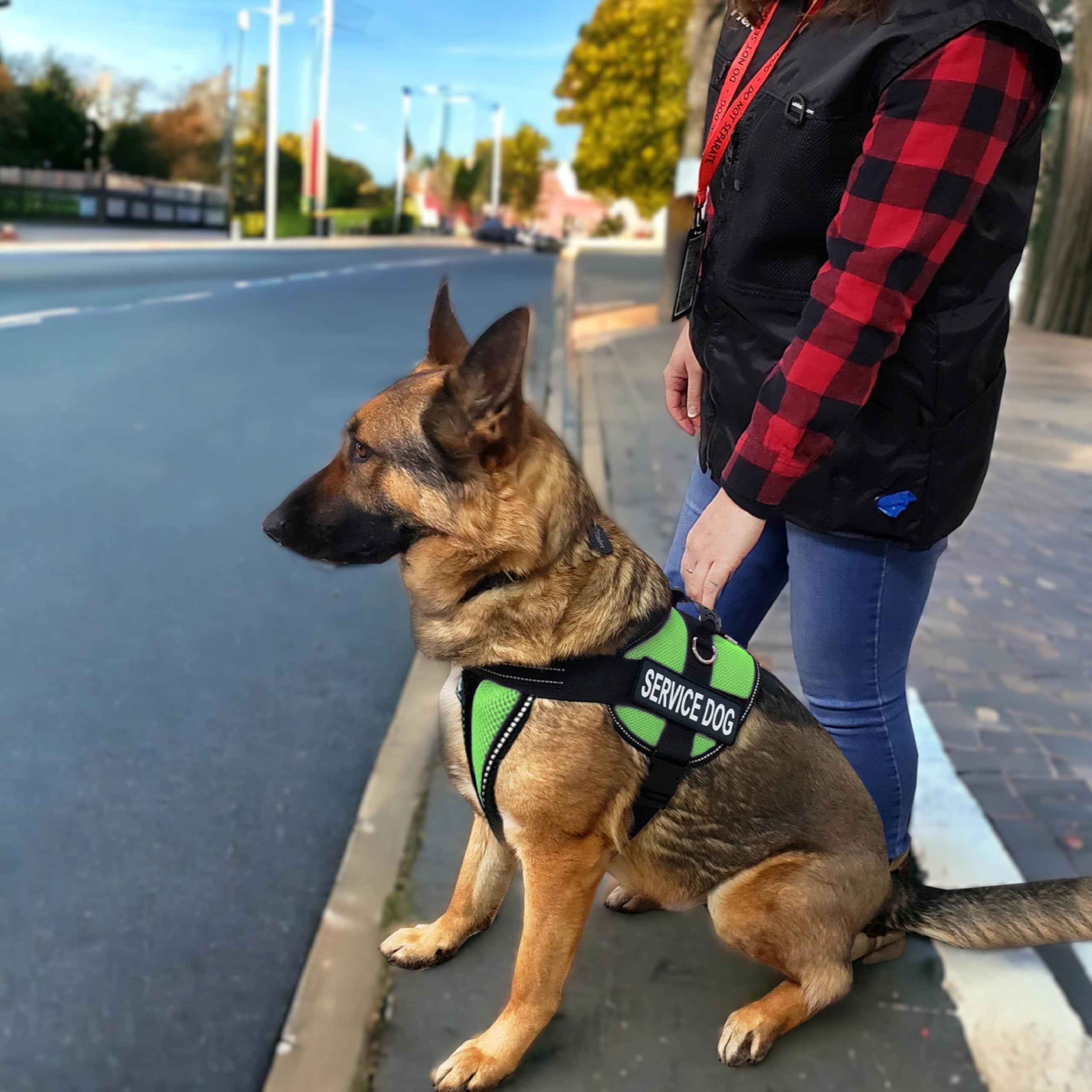 ActiveDogs Full Service Dog Kit - XS Lime - Service Dog Vest Harness with Handle, ID Holder, ADA Cards, Medical Alert Keychain & Leash - Perfect for Training, Therapy & Public Access Assistance