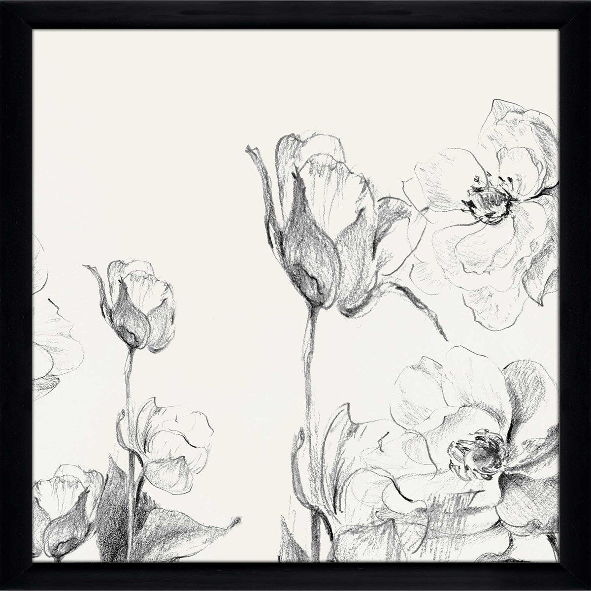 Amaryllis Field Square II - Modern Floral Print on Acrylic Wall Art - Perfect for Living Room, Bedroom & Office Decor