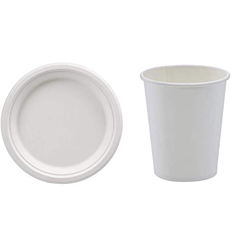 AmazonBasics 9-Inch Compostable Plates (500 Count) & 8 oz PLA Laminated Hot Paper Cups (1000 Count) - Eco-Friendly Disposable Tableware for Parties, Picnics, and Events