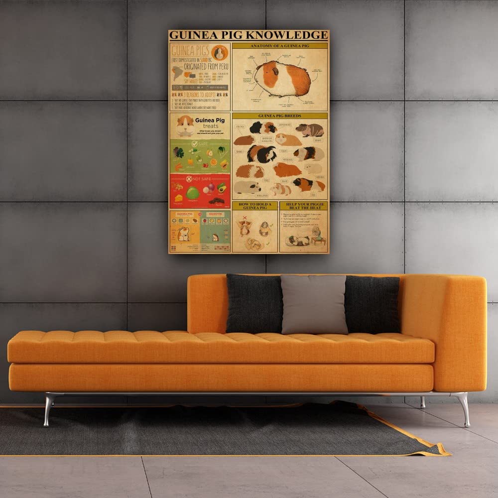 Guinea Pig Care Guide Poster - Educational Wall Art for Pet Lovers - Giclee Print Canvas Decor for Living Room, Bedroom, Office & Bathroom - Framed Animal Infographic (24x36 Inches, 60x90cm) - Perfect Gift for Guinea Pig Owners & Veterinary Students