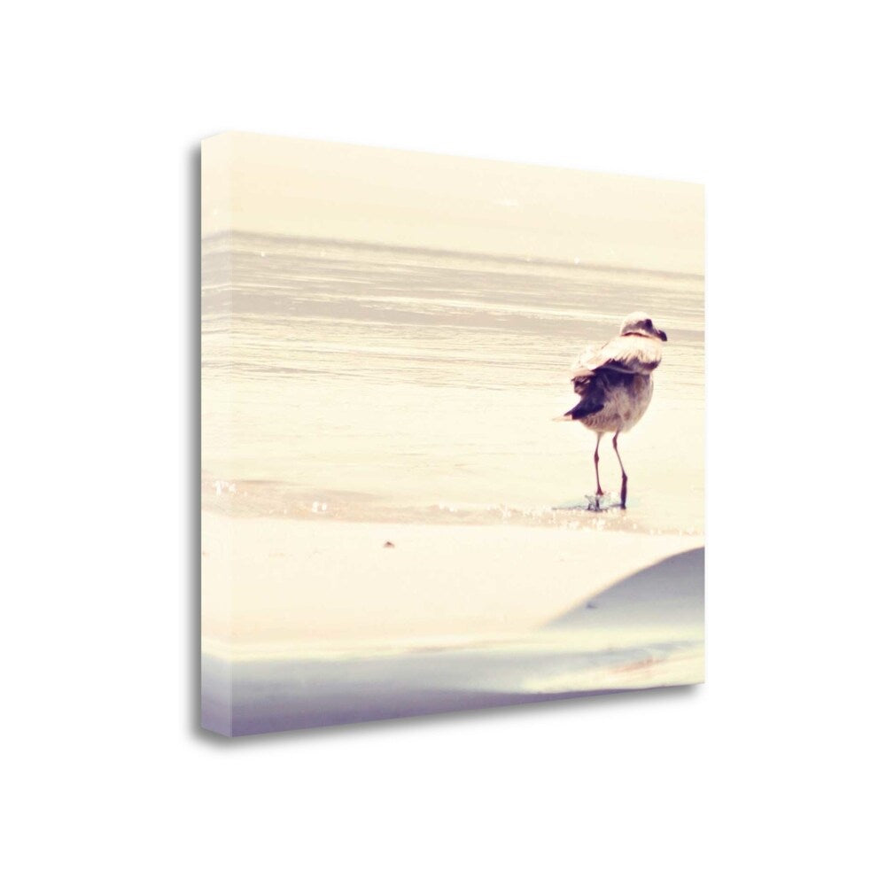Bird At The Beach By Sylvia Coomes - Premium Giclee Art Print on Gallery Wrapped Canvas, Ready to Hang Wall Decor - Perfect for Living Room, Bedroom & Office Decor