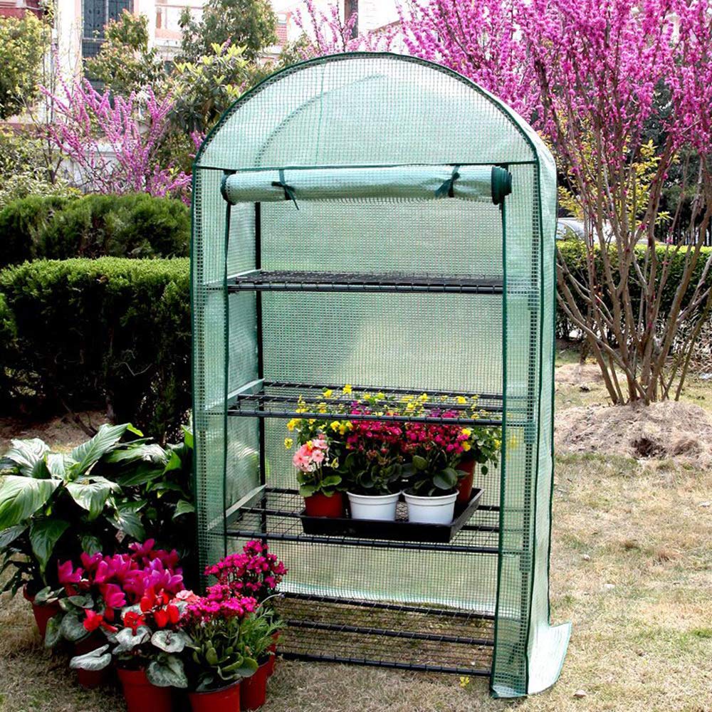 Portable Walk-in Greenhouse Tent with Stand - Anti-Freeze PE Cover for Planting Seeds, Seedlings, Herbs & Flowers | Compact Garden Plant Shelter for Outdoor & Indoor Use