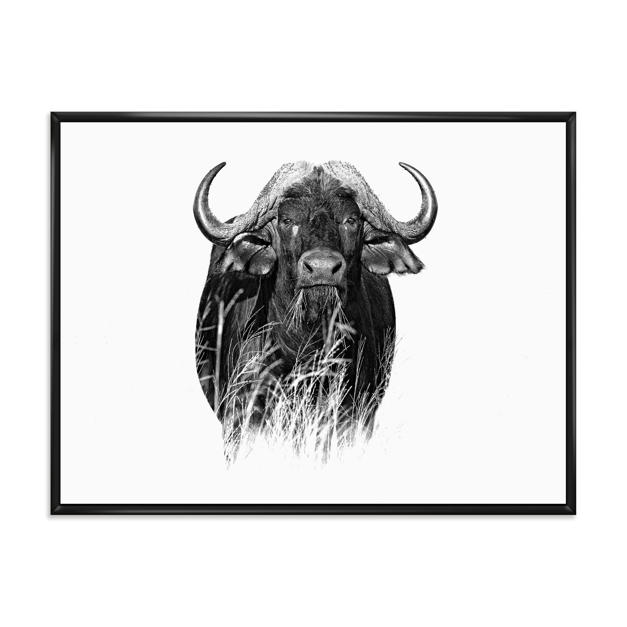 DesignQ Monochrome Buffalo Portrait IV - Farmhouse Framed Canvas Wall Art Print for Living Room, Bedroom & Office Decor