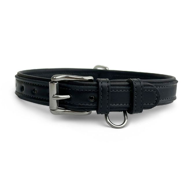 Rover Standard Dog Collar - Adjustable Nylon Pet Collar for Small Medium Large Dogs - Durable Reflective Stitching for Safety - Perfect for Walking, Training, and Outdoor Adventures