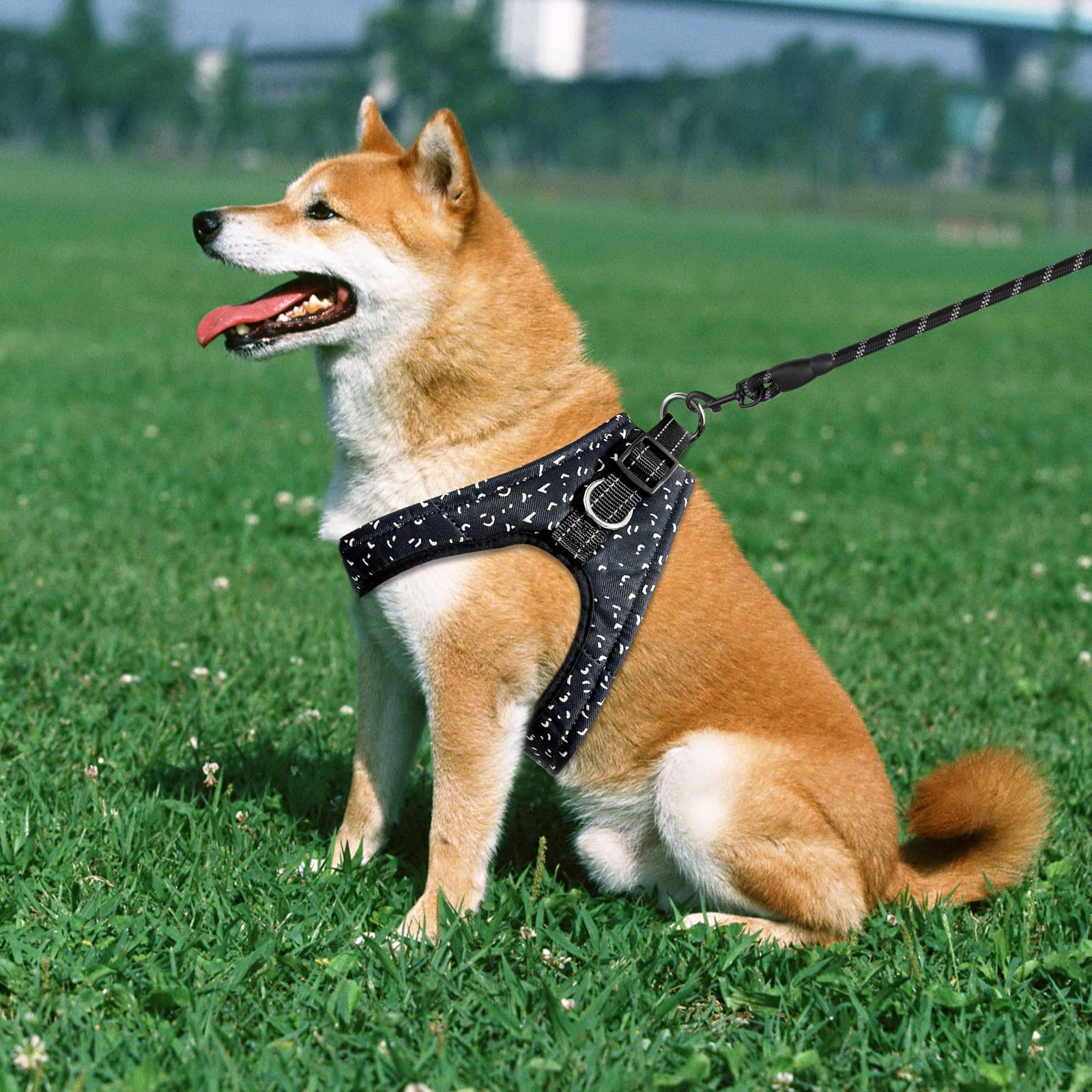 No-Pull Adjustable Dog Vest Harness with Soft Sponge Pad & Reflective Handle - Velcro Straps & Metal Leash Hooks for Small Dogs & Puppies (Chest Size 11.8