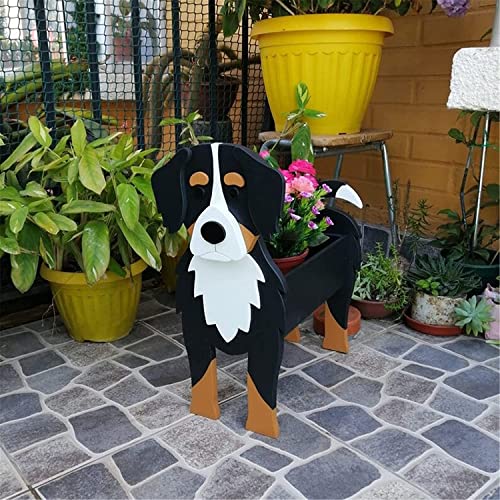 Bernboyero