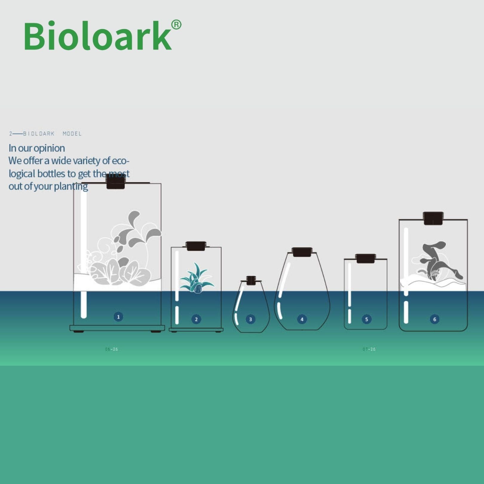Bioloark Enclosed Terrarium Tank - Glass Habitat for Plants & Reptiles (FD 200 / FD 250) | Perfect for Indoor Gardening, Gecko & Frog Terrariums, Home Decor