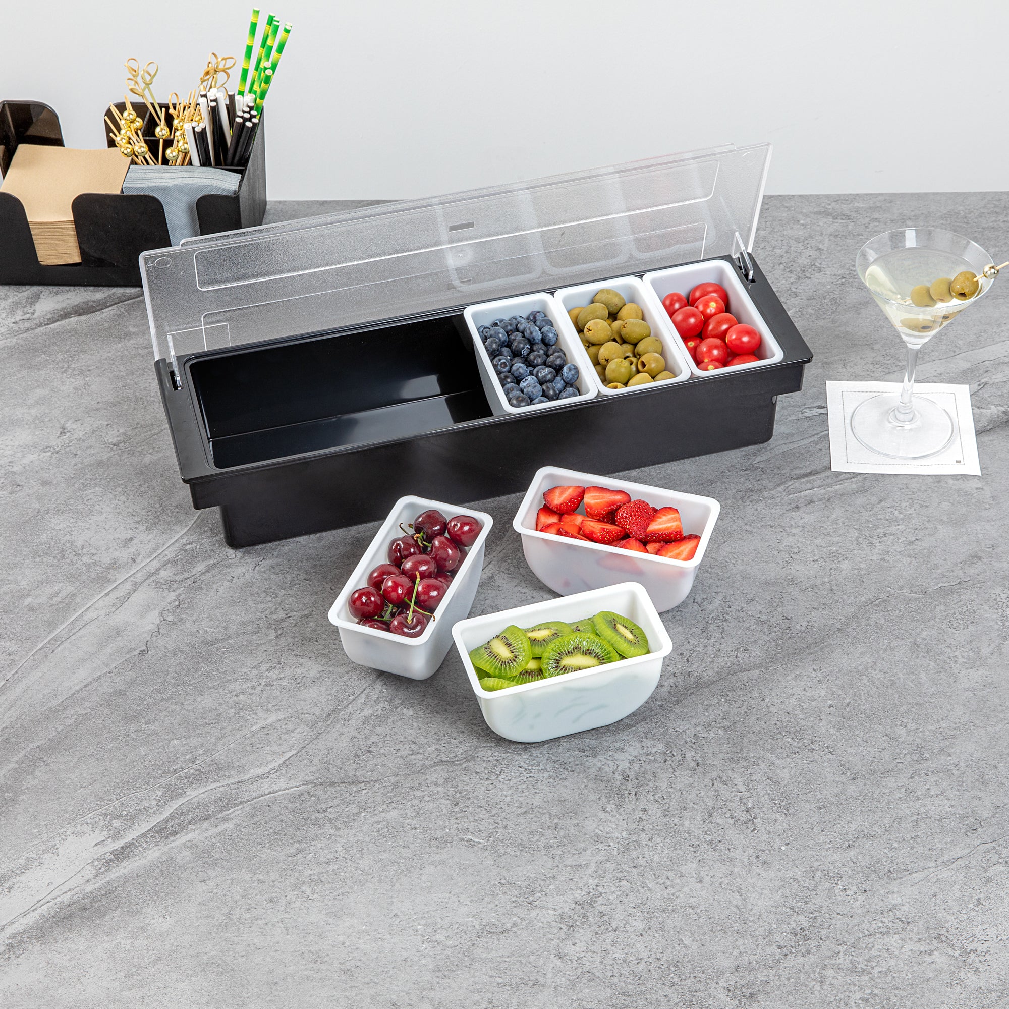 Bar Lux 1 Pint White Plastic Insert for 6-Compartment Condiment Caddy - Perfect for Restaurants, Catering & Home Kitchen Organization (1 Count Box)