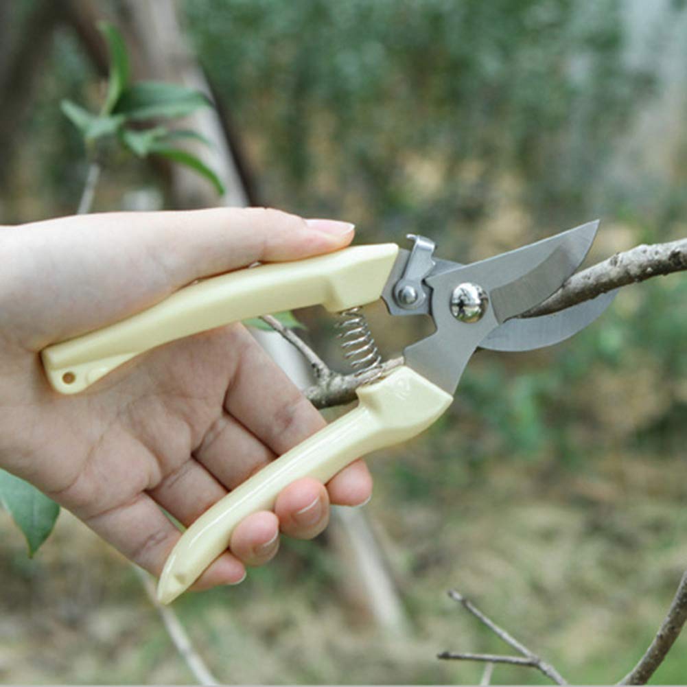 AKOAK 1 Pack Professional Gardening Scissors - Precision Trimmers for Fruit Trees, Branches, Flowers & Bonsai Plants | Ideal for Grafting, Pruning & Plant Care | Perfect for Home Gardeners & Landscaping Enthusiasts