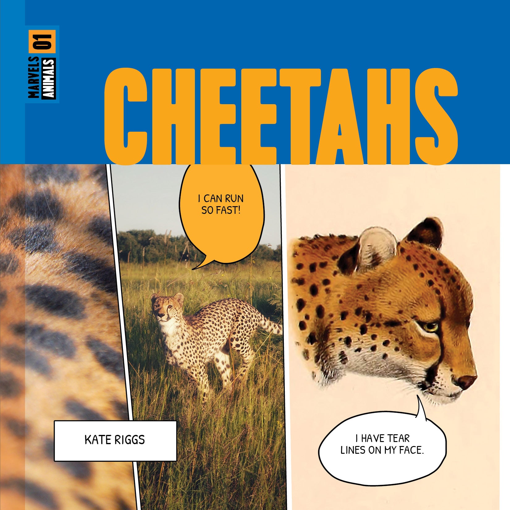 Cheetahs Book 9781640268388 - Wildlife Animal Facts, Photos & Educational Guide for Kids & Adults - Perfect for School Projects, Nature Lovers & Safari Enthusiasts