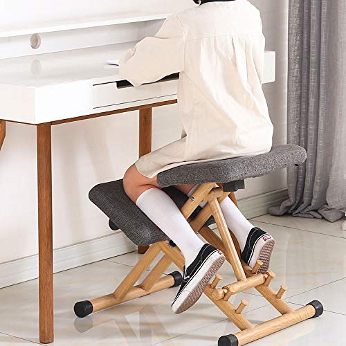 Ergonomic Office Chair & Gaming Chair - Adjustable Height Computer Chair with Knee Support for Posture Correction, Silver | Ideal for Home Office, Gaming & Workstations