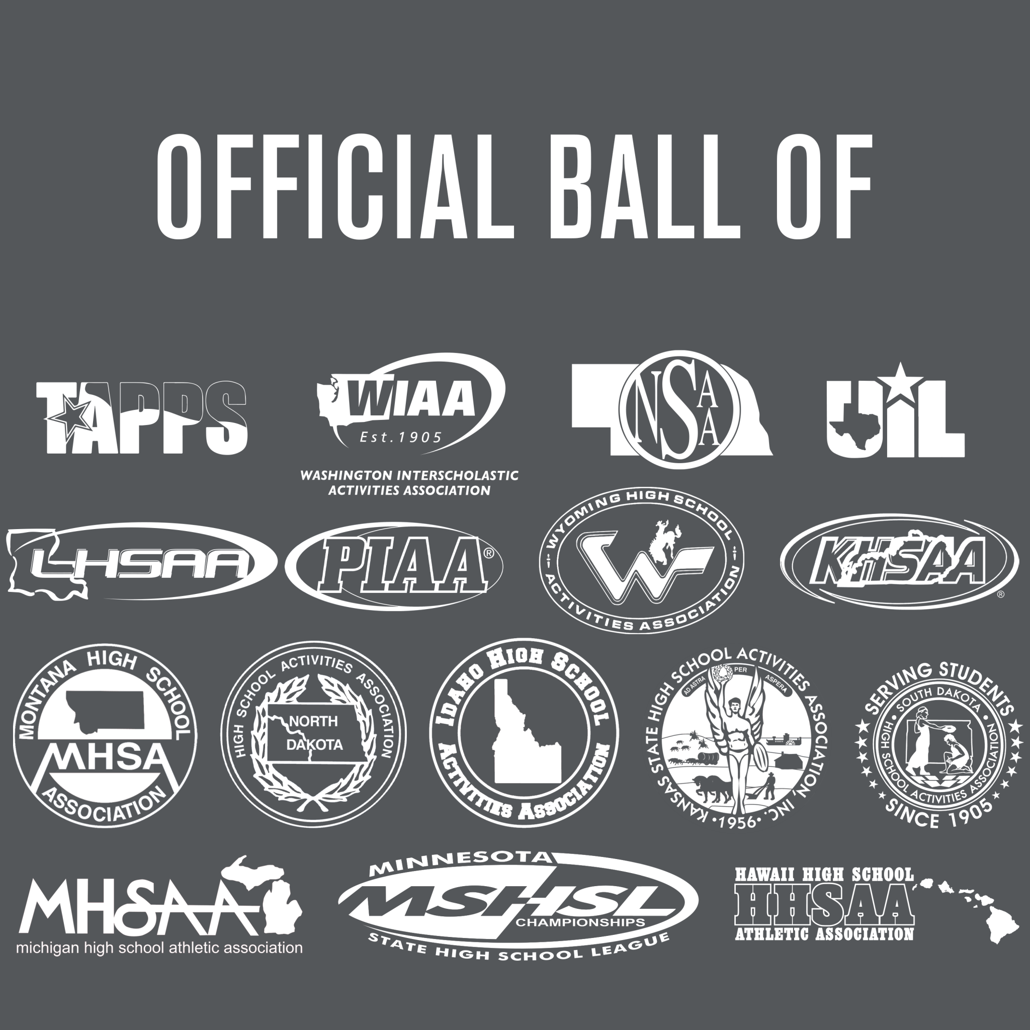 Maui Strong Perfection Volleyball - Premium Indoor & Outdoor Game Ball for Beach, Court, and Training - Perfect for Sports Enthusiasts and Team Play