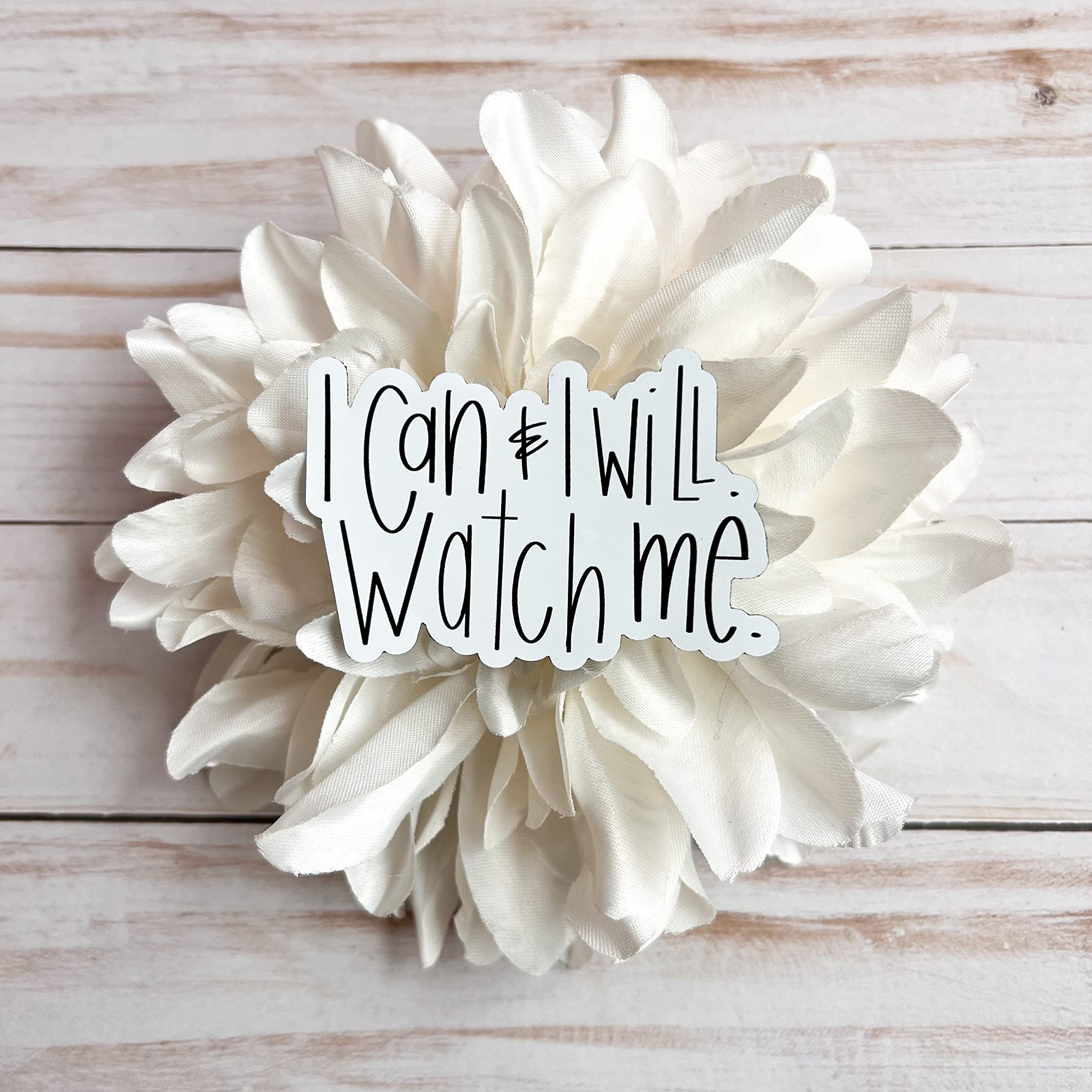 Mental Health Stickers with Inspirational Quotes - Waterproof Vinyl Decals for Self Care & Motivation - Perfect for Hydro Flask, Laptop, Notebook, Water Bottle & Journal - Great for Daily Encouragement, Therapy, Office Decor & Gift Giving