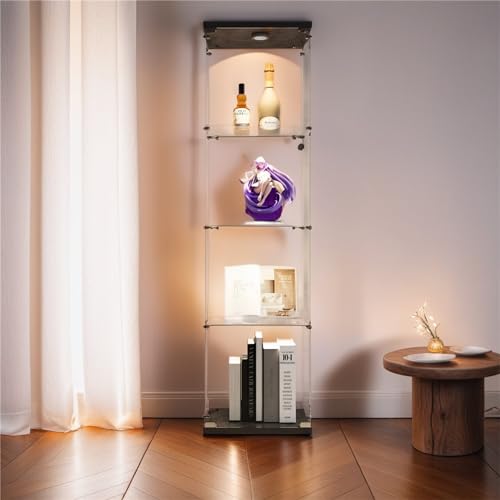 Black With Light-1 Door 4 Shelves-2