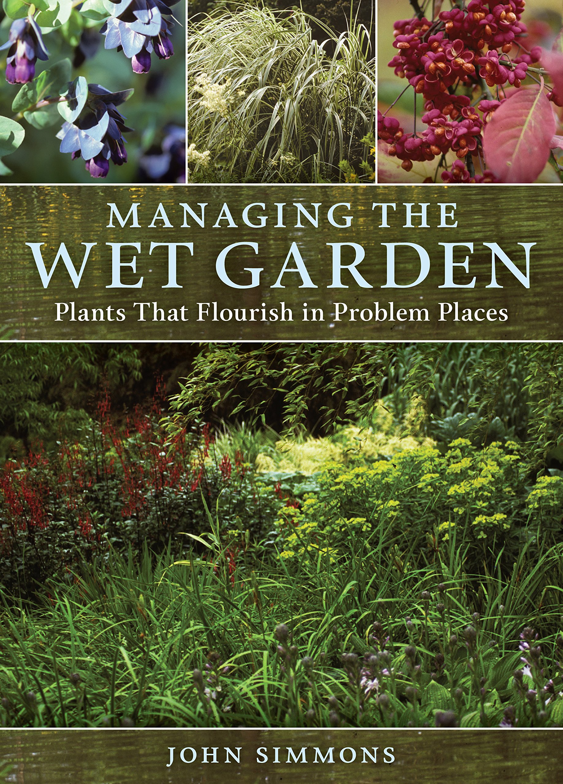 Best Water-Loving Plants for Wet Gardens | Thriving Flora for Problem Areas | Perfect for Rain Gardens, Ponds & Damp Landscapes