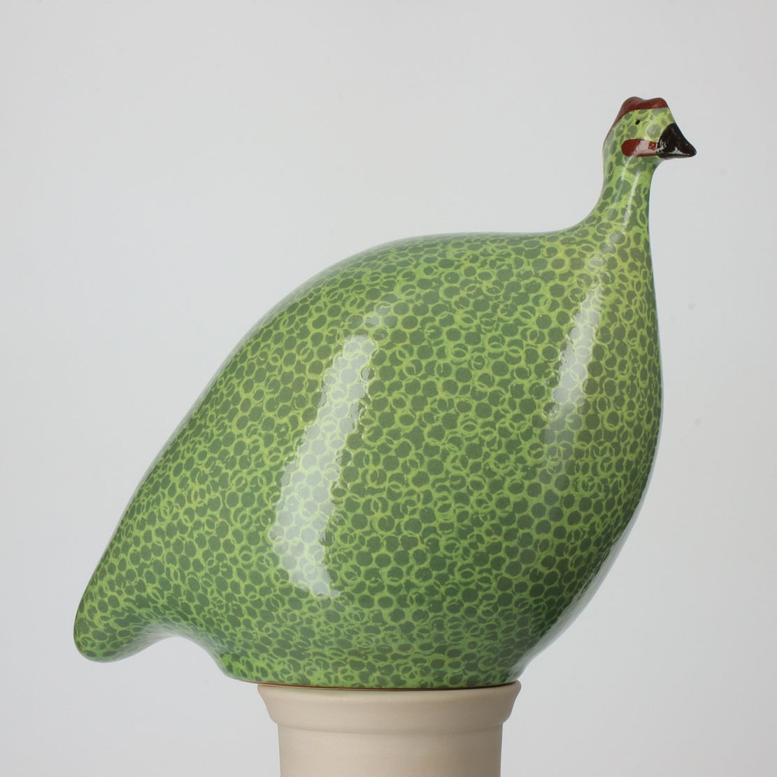 Green Spotted Yellow Guinea Hen - Exotic Live Poultry for Backyard Farming & Unique Pet Keeping | Perfect for Rural Homesteads, Urban Farms & Educational Projects