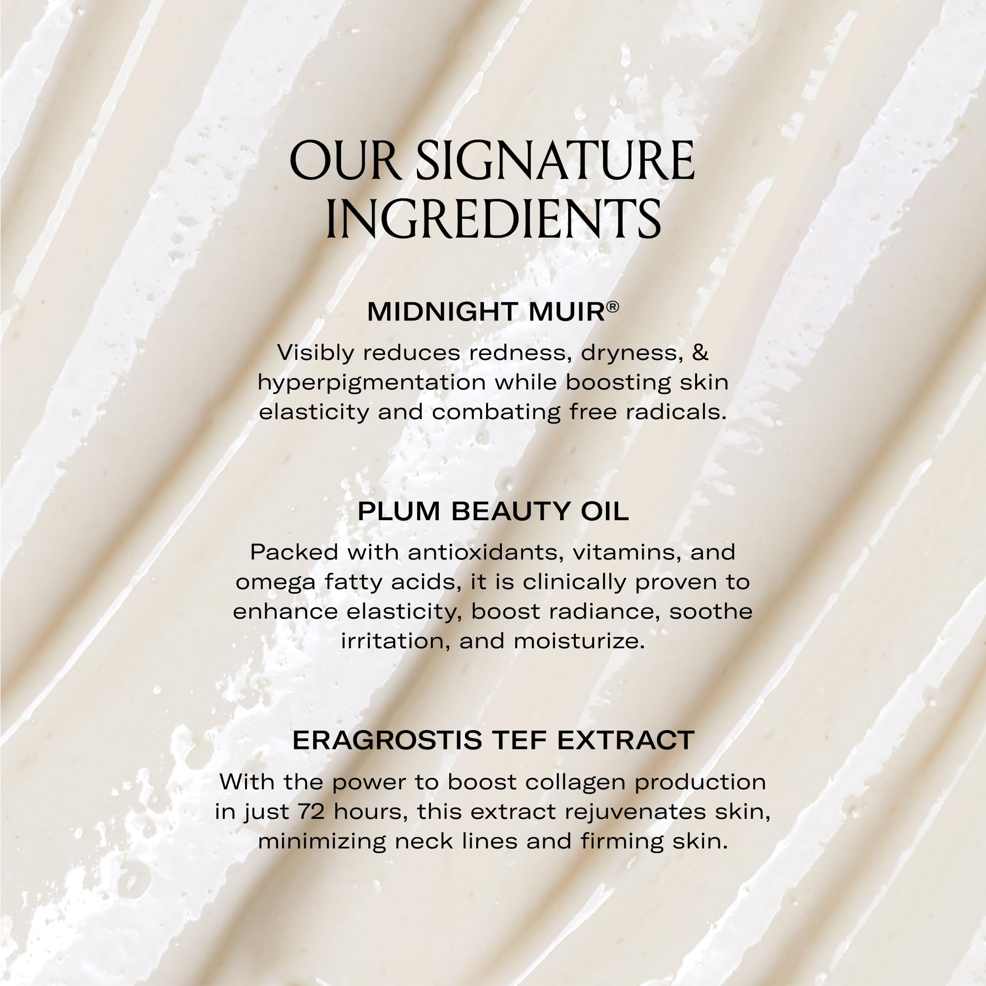 Plumbody Body Créme - Ultra Hydrating Moisturizing Cream for Dry Skin | Nourishing & Fast Absorbing | Perfect for Daily Use, After Shower & Nighttime Skincare Routine