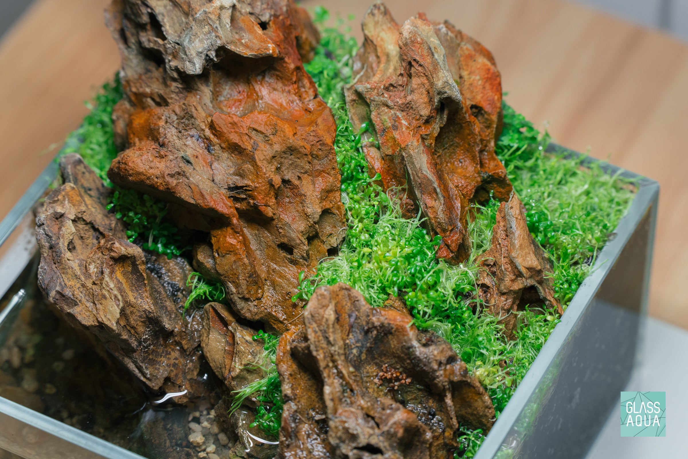 Premium Flat Bottom Dragon Ohko Stone for Aquascaping - Natural Hardscape Rock for Fish Tanks, Aquariums & Zen Gardens