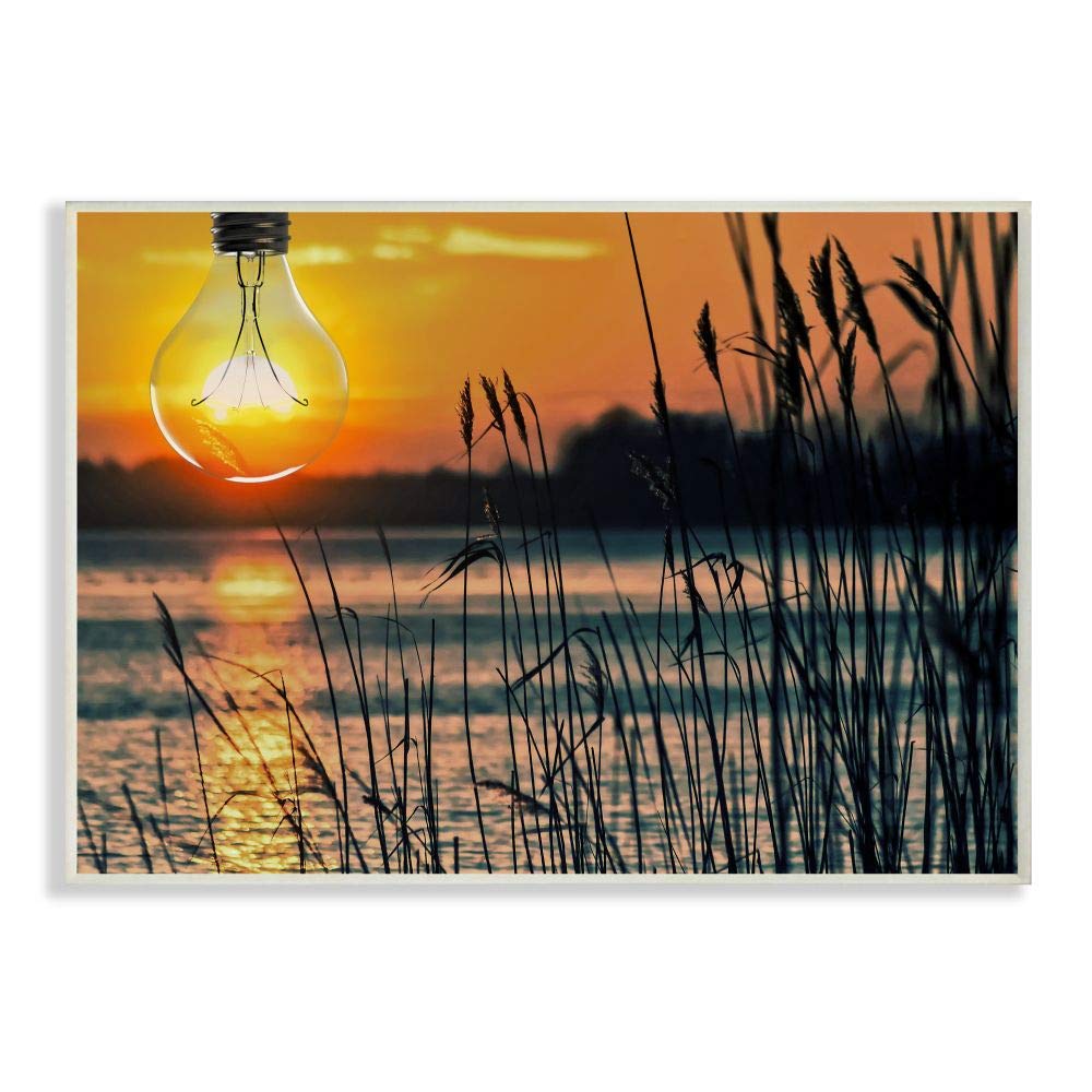 Stupell Industries Lightbulb Sun Lake Reeds Photograph Wall Plaque - 10x15 Inches, Designed by Marcus Prime Art - Perfect for Living Room, Bedroom & Office Decor