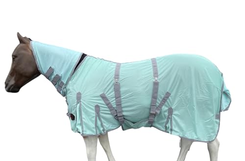 Pastel-Green-Grey-Trim