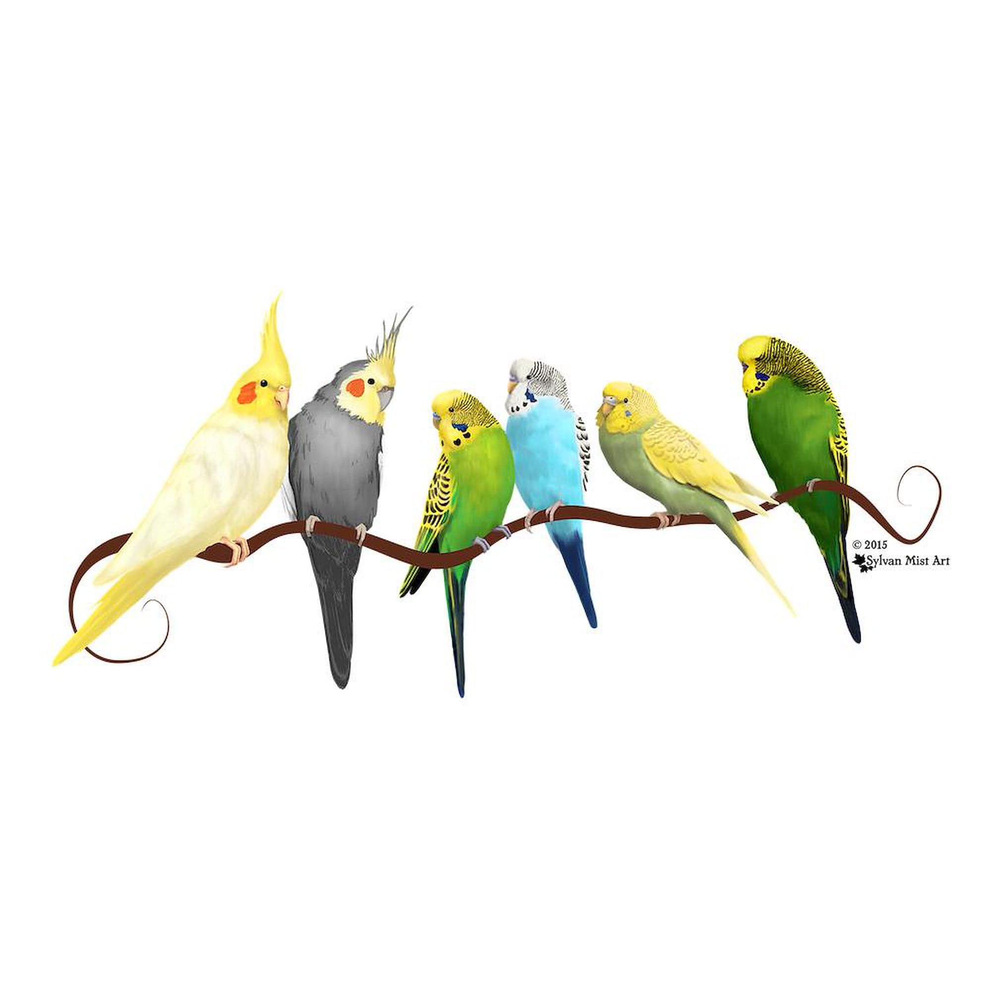 Parakeets & Cockatiels Ceramic Coffee Mug 11 oz (325 ml) - Funny Bird Lover Gift for Tea & Coffee Drinkers - Perfect for Home, Office or Bird Watching Enthusiasts