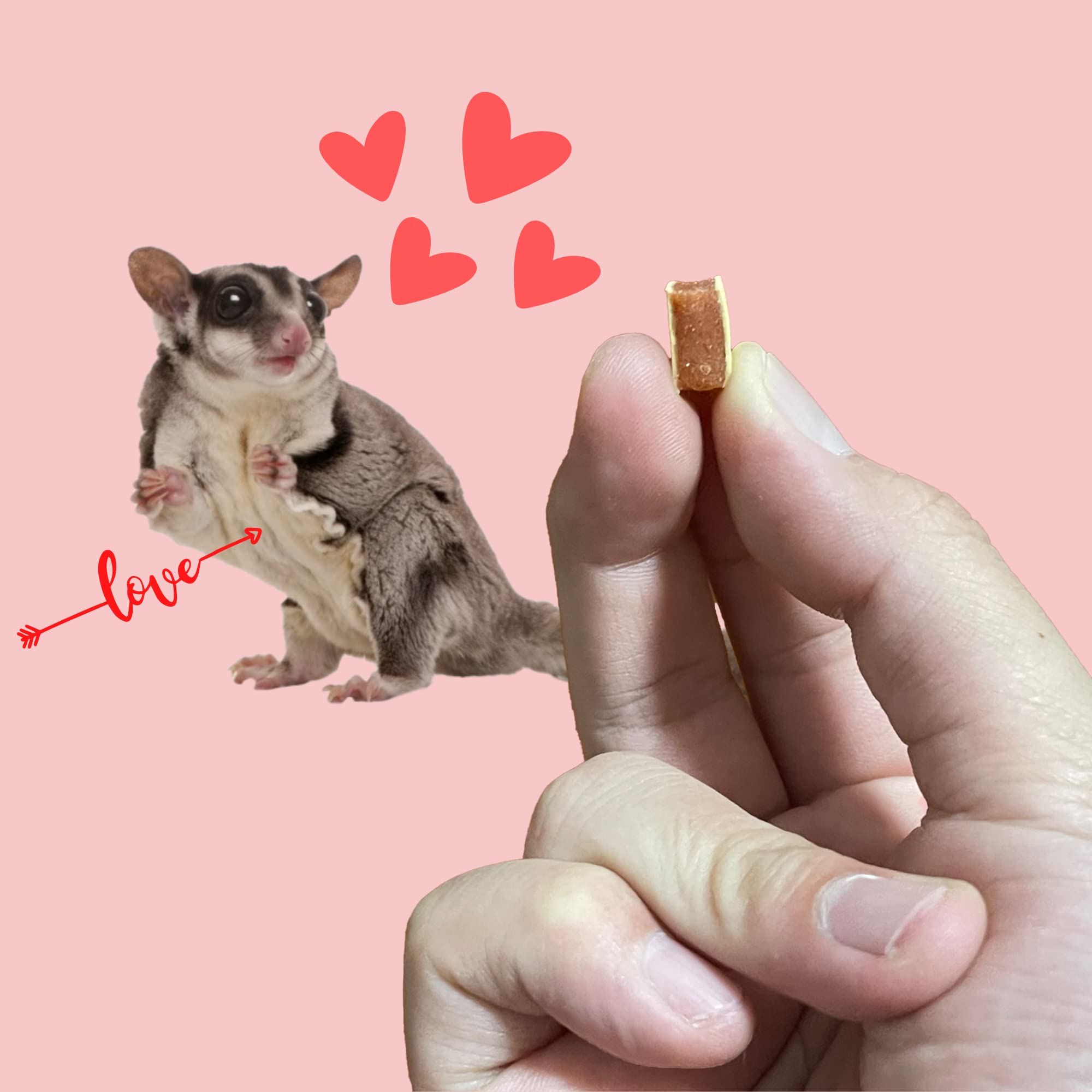 Premium Sushi Steak Treats for Sugar Gliders & Small Exotic Pets - Healthy Hamster, Squirrel, Chinchilla & Marmoset Snacks - High Protein Food (30g) - Perfect for Training Rewards & Bonding Time with Your Furry Friends