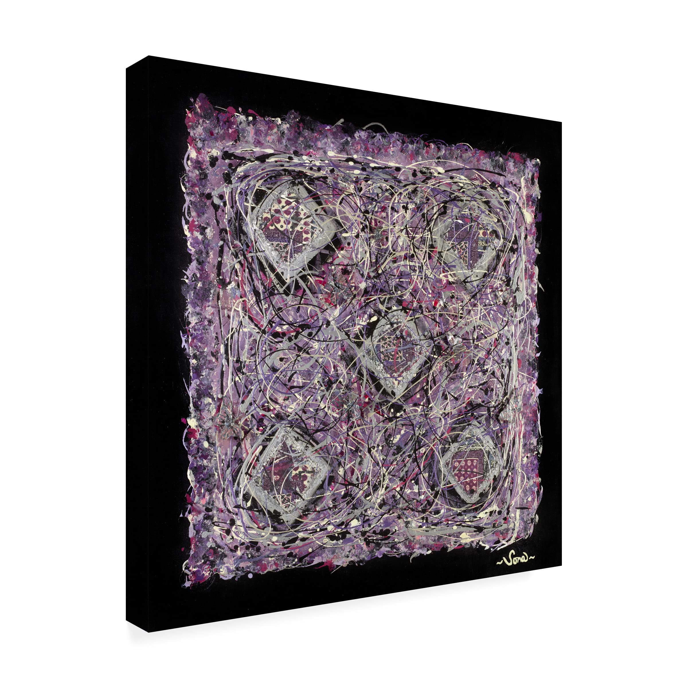 Trademark Fine Art 'Enigma of Euryphreasa' Canvas Wall Art by Sona - Premium Gallery Wrapped Painting for Living Room, Bedroom & Office Decor