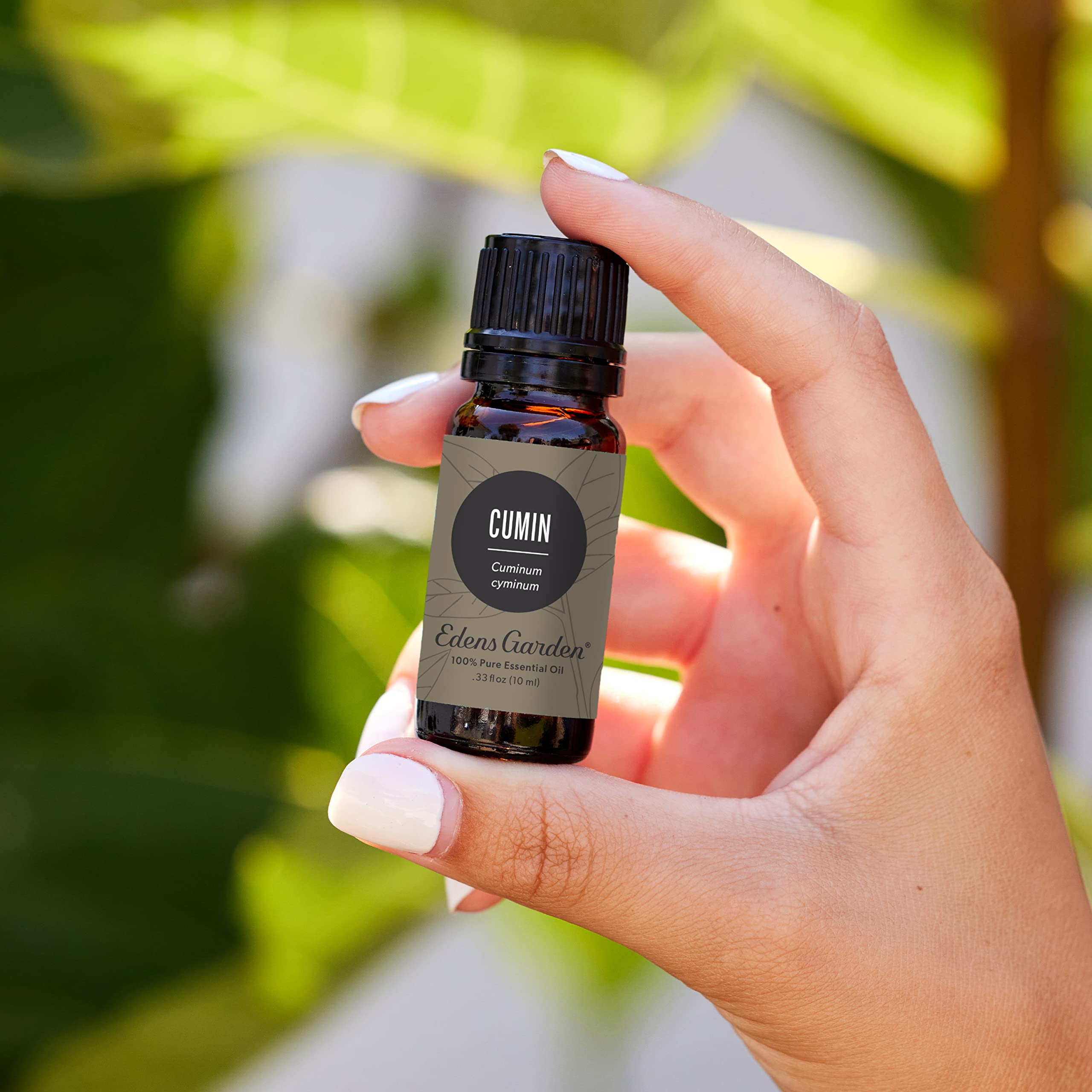 Edens Garden 100% Pure Cumin Essential Oil - Undiluted, Natural & Therapeutic Grade for Aromatherapy, Diffusers, Candles, Laundry & Humidifiers | 30ml (1 fl oz) for Relaxation, Stress Relief & Home Fragrance
