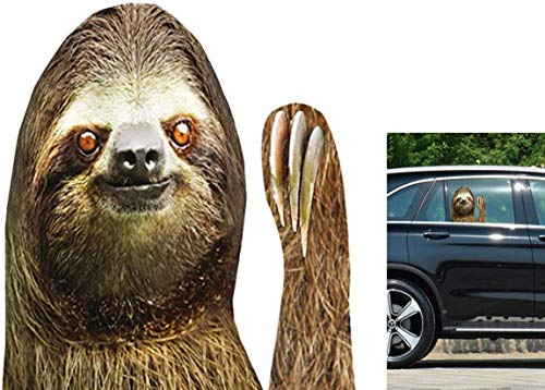 Sloth