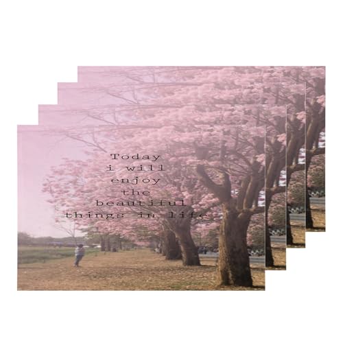 Proverb Incentive Multib