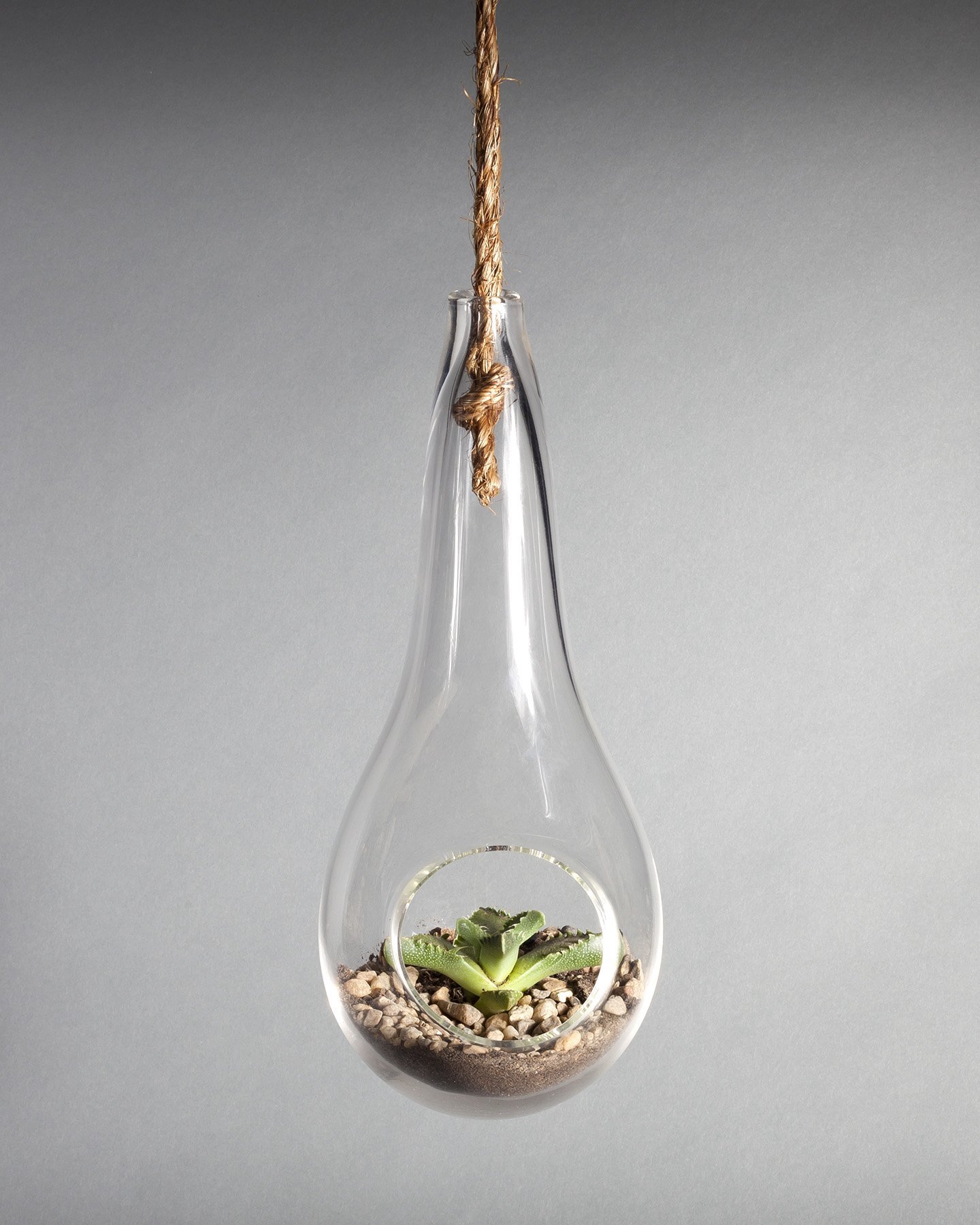 Hand-Blown Glass Hanging Terrarium – Unique Plant Display for Home & Office Decor | Perfect for Succulents, Air Plants & Mini Gardens