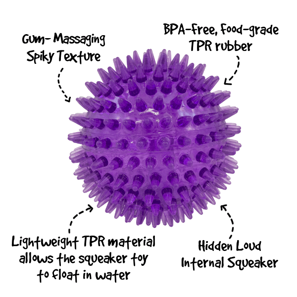 Gnawsome Medium Squeaker Ball for Dogs - Durable Chew Toy with Loud Squeaker for Interactive Play, Fetch & Training - Perfect for Small to Medium Breeds (Blue) - Indoor & Outdoor Use