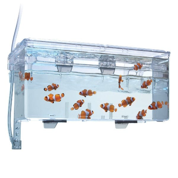 Fluval Multi-Chamber Fish Breeding Box - Transparent Acrylic Aquarium Hatchery for Livebearers & Fry - Perfect for Guppies, Mollies & Betta Fish Breeding Tanks