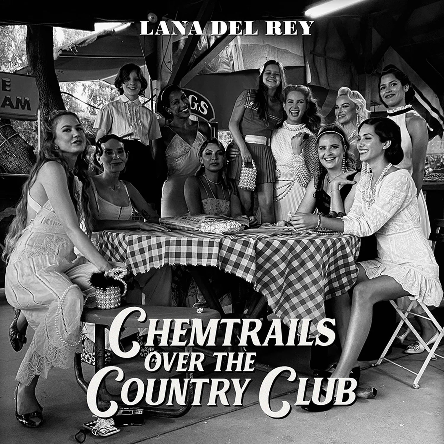 Chemtrails Over The Country Club Vinyl LP - Limited Edition Record for Music Collectors & Audiophiles - Perfect for Home Listening, Gifts & Vinyl Collections