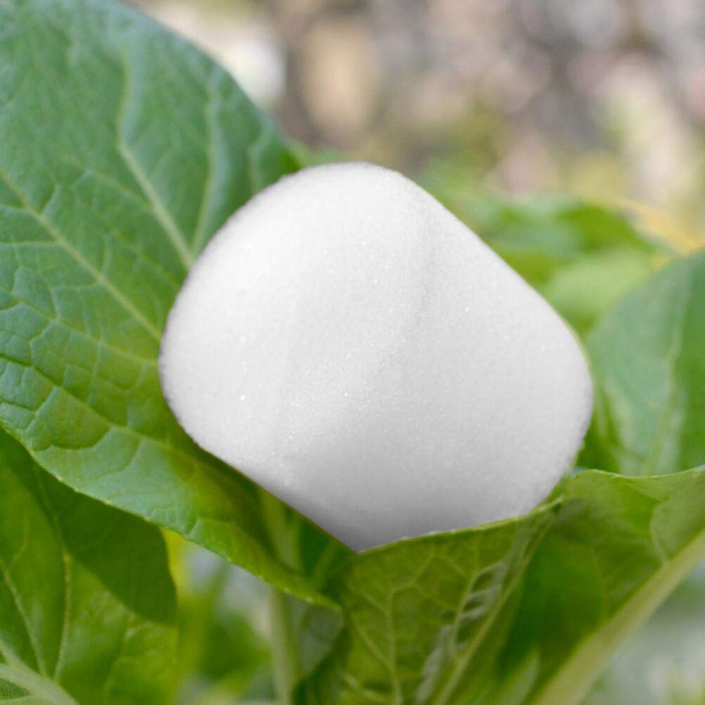**50 Pcs Hydroponic Sponge Cubes - Soilless Seedling Starter, Dust-Free & Non-Toxic for Indoor Gardening, Hydroponics, and Home Planting**