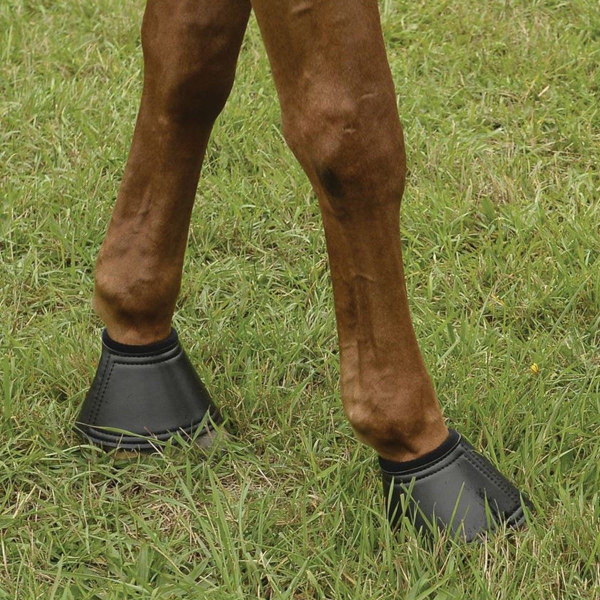 EquiFit Essential Horse Bell Boots - Durable Protective Gear for Equine Hooves - Perfect for Riding, Training, and Stable Use