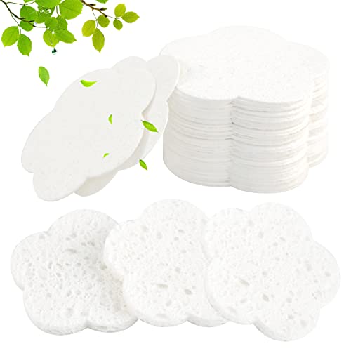 50 Count - White