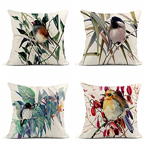 Birds