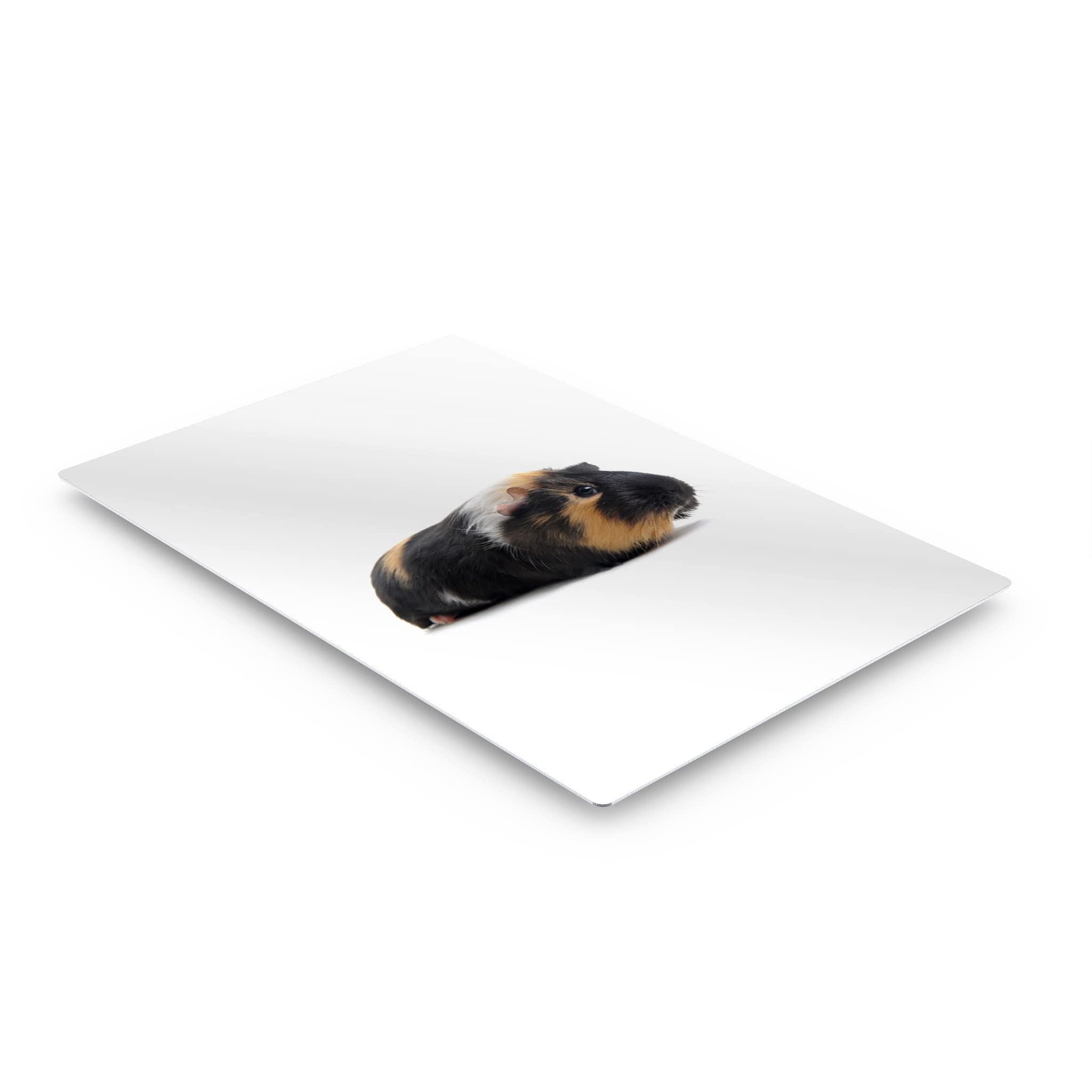 Smile Art Design Cute Black Guinea Pig Portrait Metal Wall Art Print - Pet Lover Gift, Rodent Decor for Office, Living Room, Bedroom, Nursery - Made in USA (17x11 in) - Perfect for Animal Lovers & Home Decor