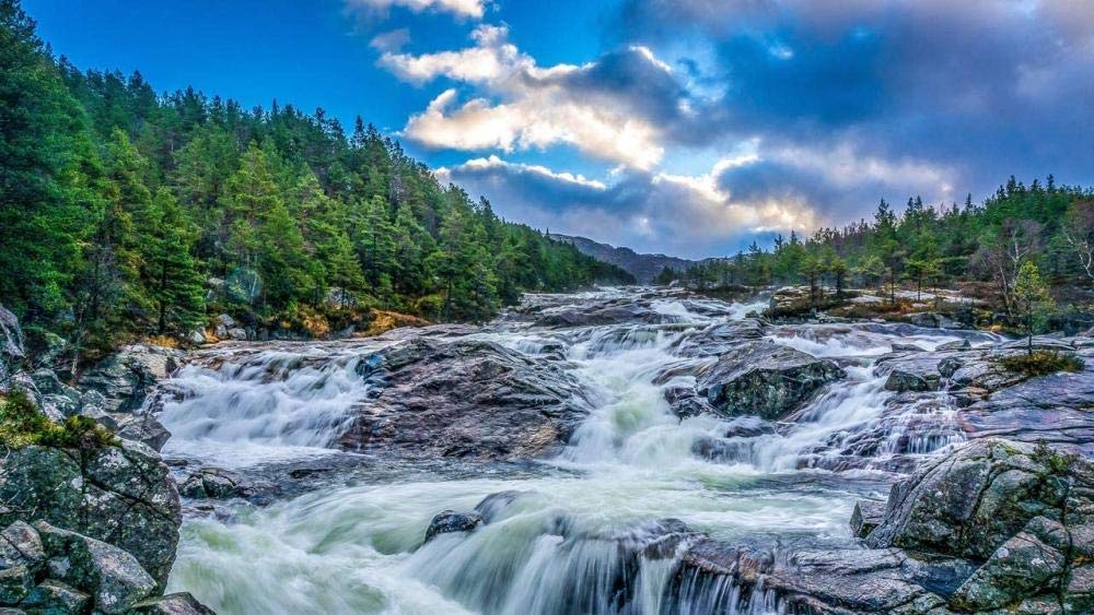 3000-Piece Wooden Jigsaw Puzzle - Forest Waterfall Rapids Scenery for Adults & Kids (11087CM) - Perfect for Family Game Night, Stress Relief & Home Decor