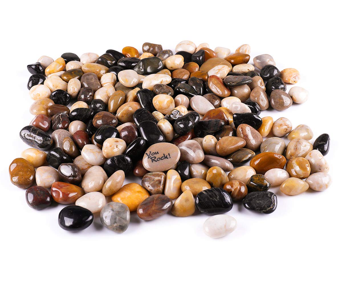 RockImpact 19lb Decorative River Rocks - Polished Pebbles for Planters, Vases, Terrariums (3/4