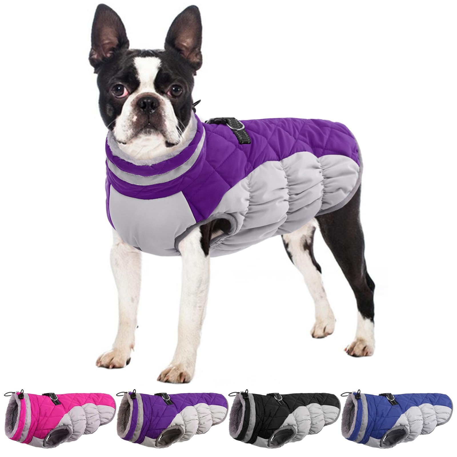 Waterproof Winter Dog Jacket with Back Zipper & Built-in Harness - Warm Fleece Lined Snow Coat for French Bulldog & Shiba Inu - Purple Large Size - Perfect for Cold Weather Walks & Outdoor Adventures