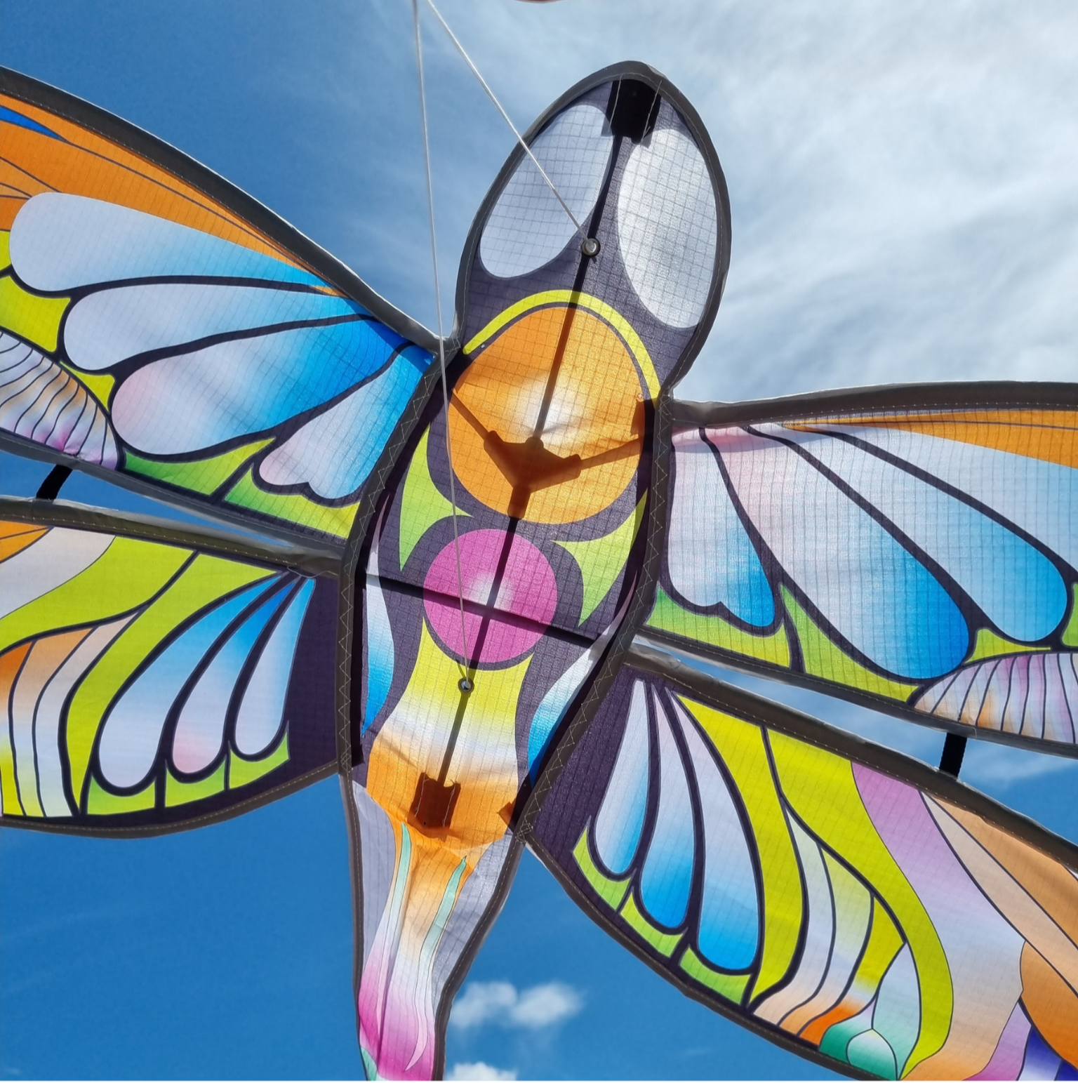 Colorful Dragonfly Kite for Kids - Outdoor Flying Toy for Beach, Park & Backyard Fun - Easy to Fly Children's Kite with Long Tail