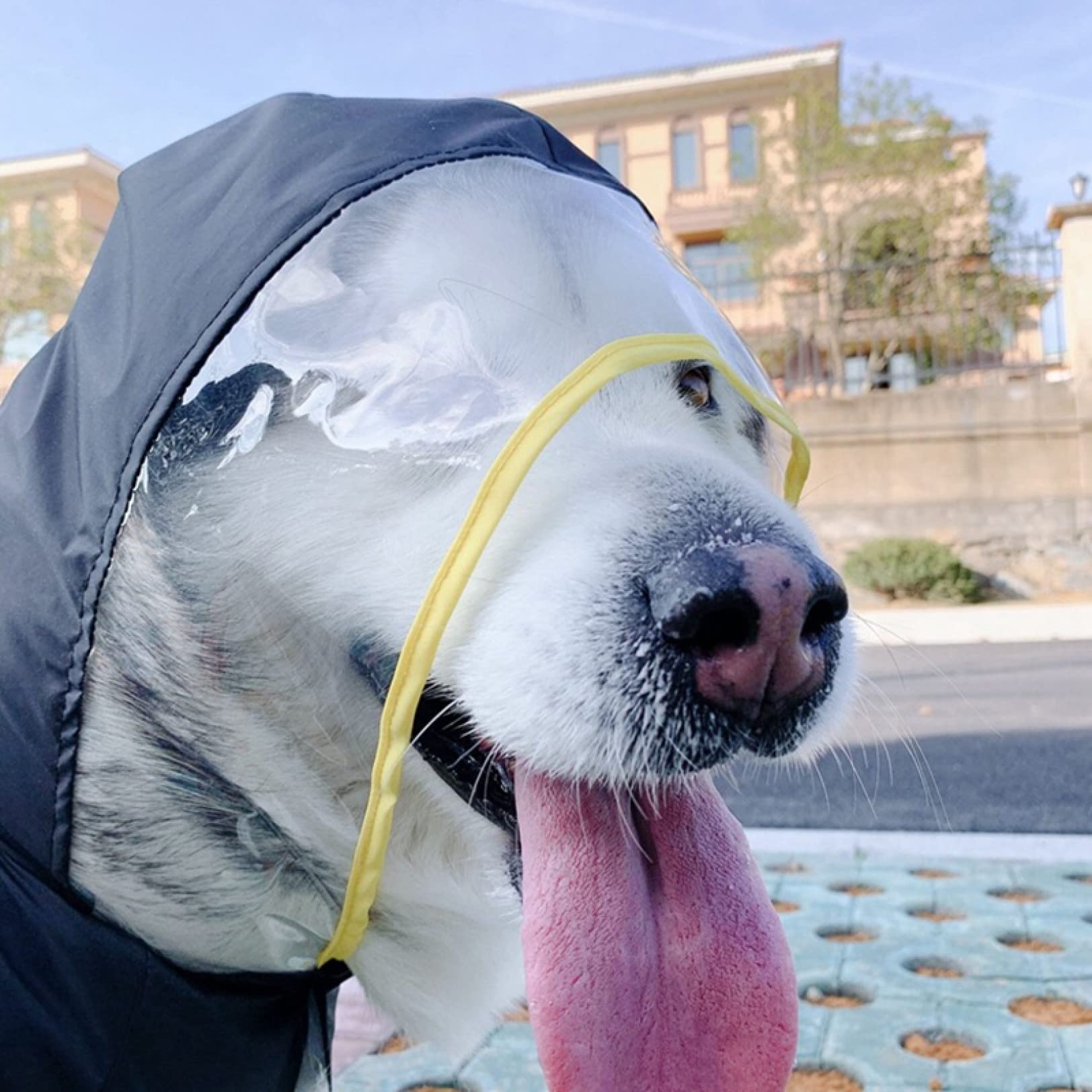 Waterproof Dog Raincoat - Adjustable Poncho Slicker Jacket for Small, Medium & Large Dogs | Outdoor Walking, Hiking & Rainy Day Protection