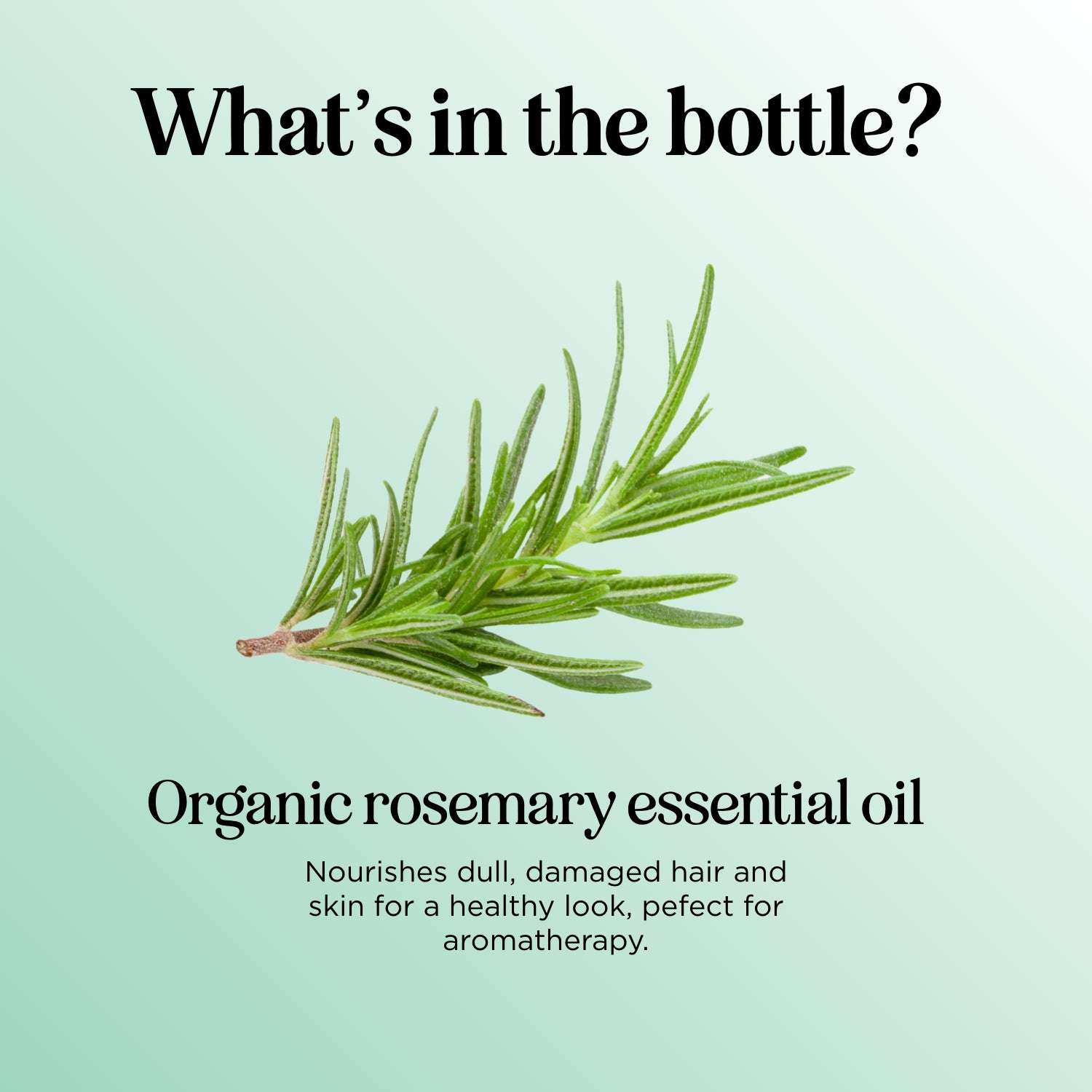 Organic Rosemary Essential Oil for Hair Growth & Skin Care - 100% Pure Natural Aromatherapy Oil for Relaxation & Stress Relief