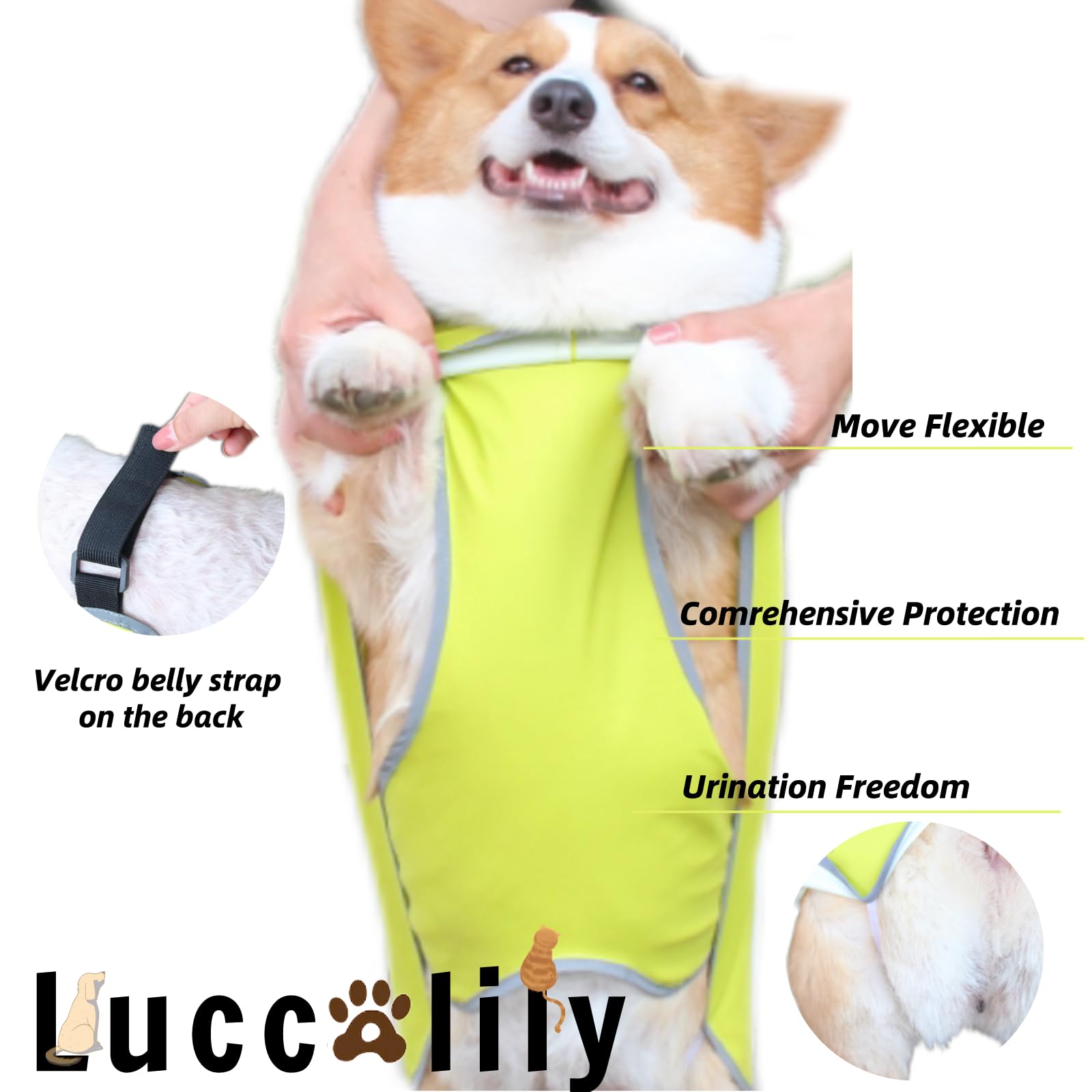 Waterproof Dog Raincoat with Hood - Reflective & Adjustable for Small Dogs - Outdoor Walking
