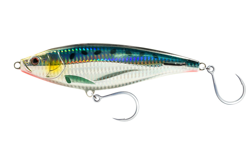 Chartreuse Orange Mackerel
