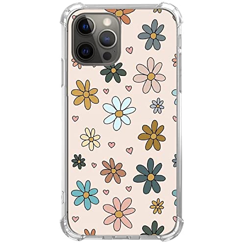 Colourful Daisy Flowers
