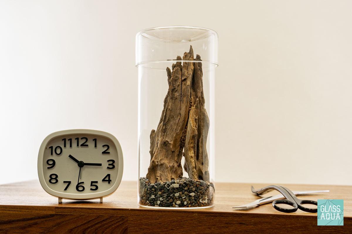 Miniature Terrarium Kit for Home Decor - DIY Glass Terrarium with Succulents & Air Plants - Perfect for Office Desk, Gift Idea, and Indoor Gardening Enthusiasts