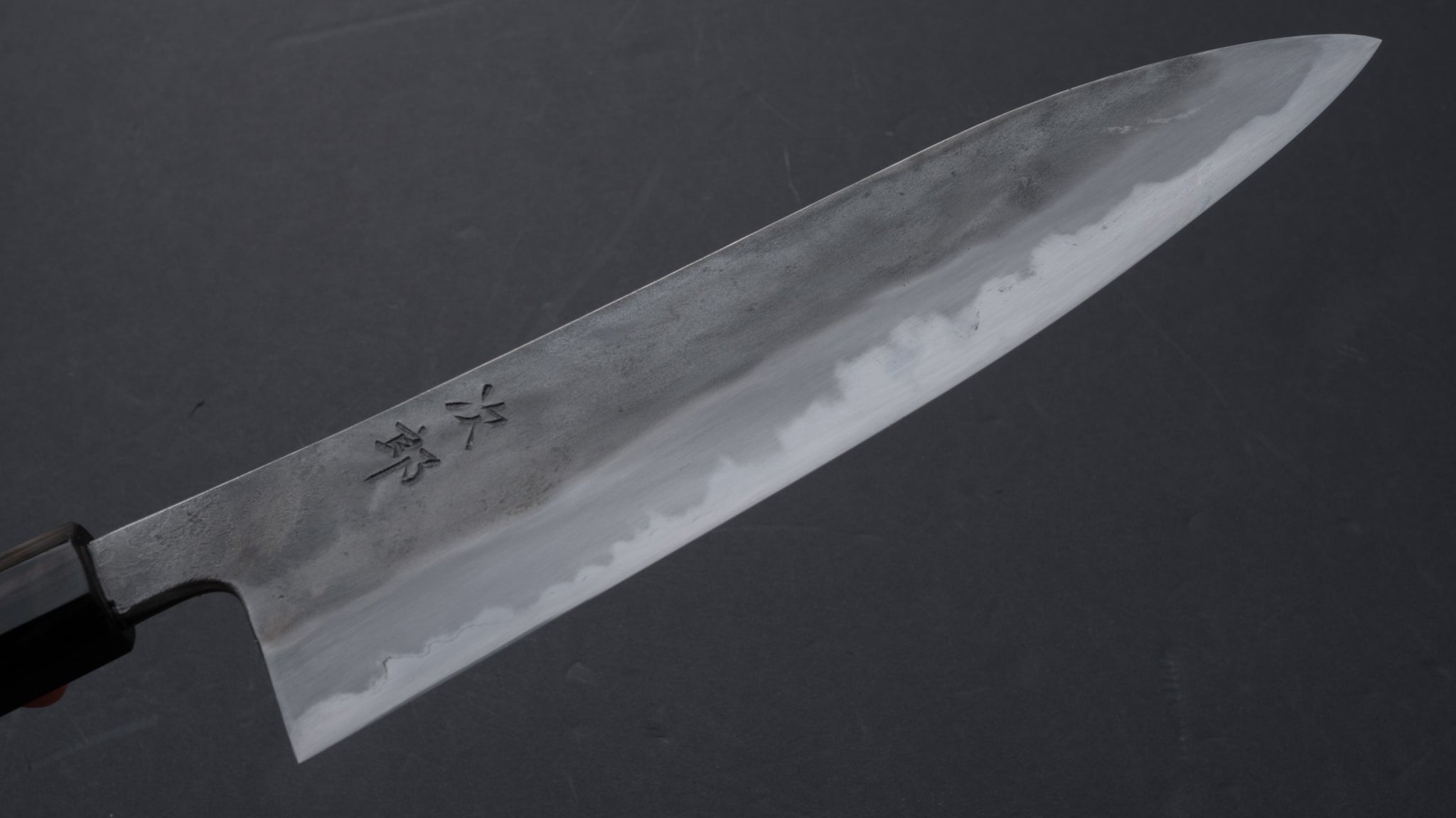 Premium Jiro Tsuchime Wa Gyuto 240mm Japanese Chef Knife with Taihei Tagayasan Handle (#058) - Perfect for Professional Chefs & Home Cooking Enthusiasts